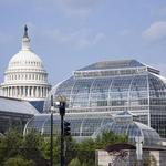 United States Botanic Garden