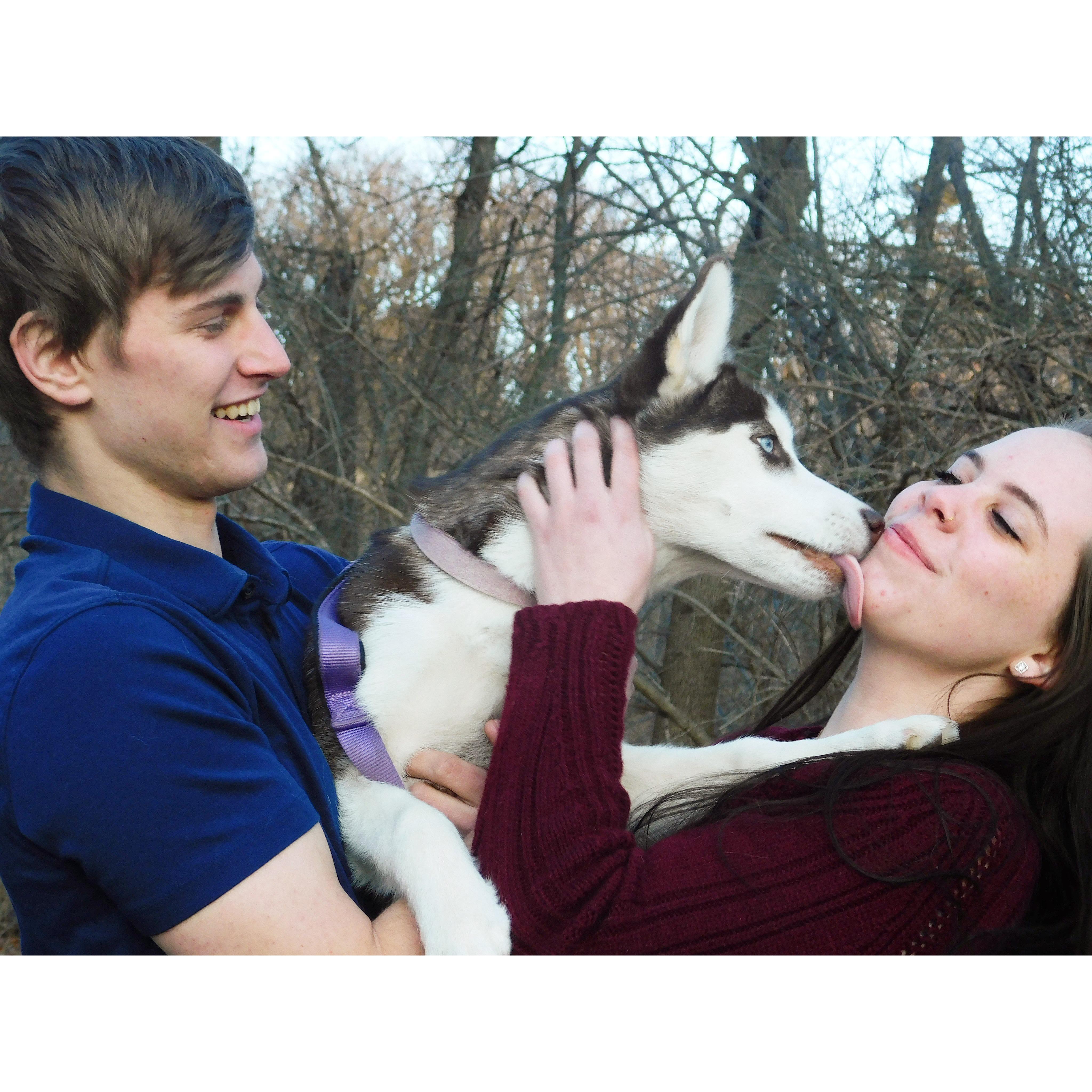 We adopted Phoenix on March 2, 2020