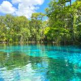 Silver Springs State Park