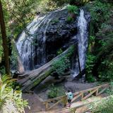 Russian Gulch State Park