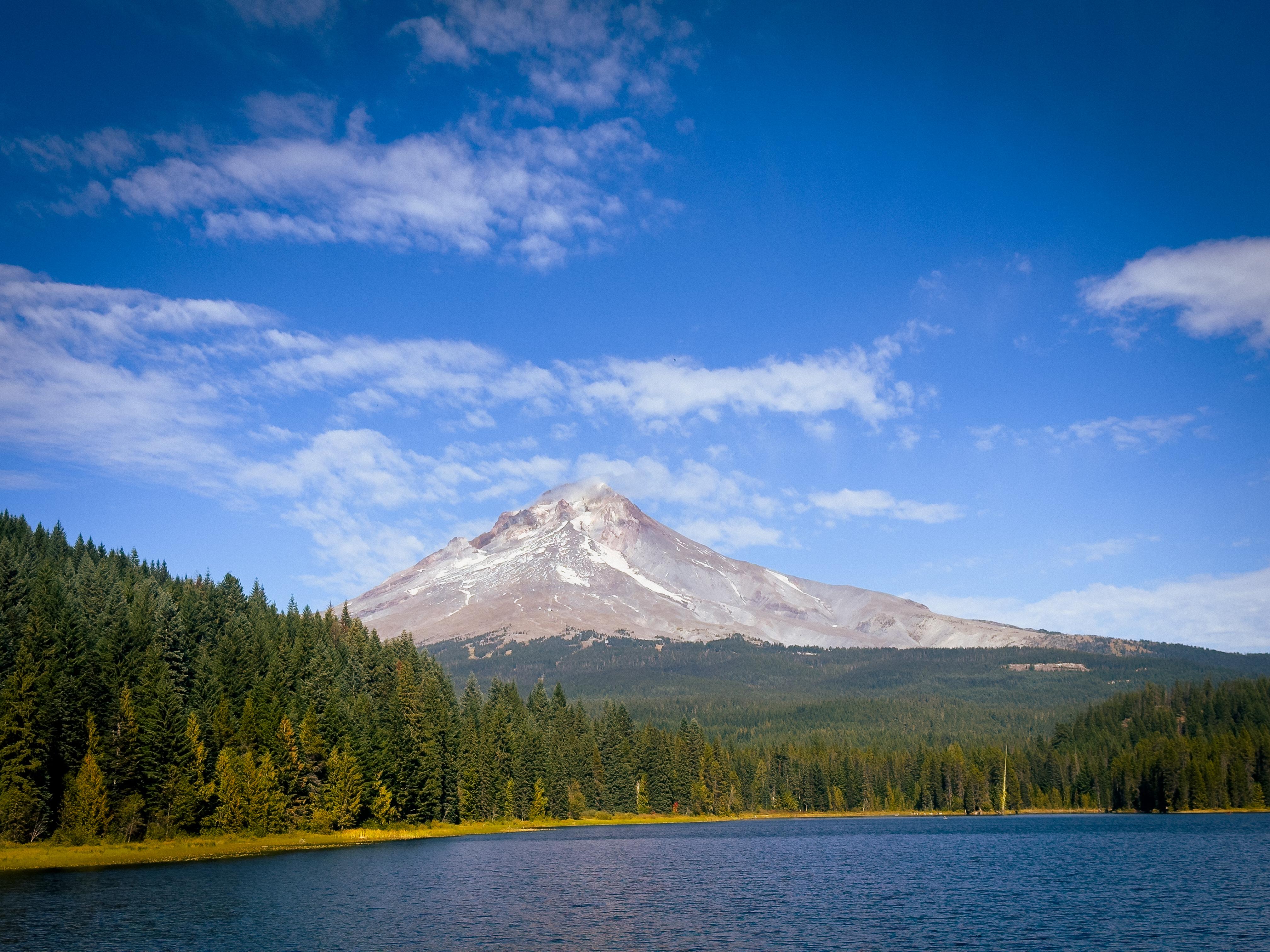 The Wedding Website of Peter Walle and Rebecca Walle