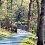 The Monticello Trail