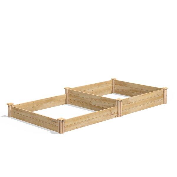 Docia 8 ft x 4 ft Cedar Raised Garden