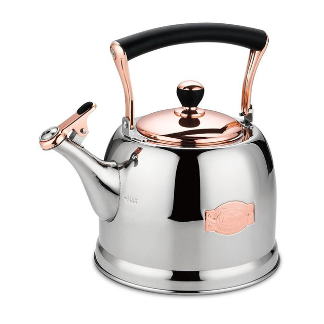 Tea Kettle Stainless Steel Teapot, Stainless Steel Teakettle for Stove Top with Heat Proof Ergonomic Handle 3.0 Quart