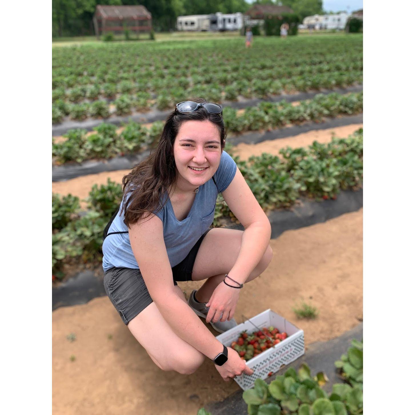 Strawberry picking outside of Austin...this was the day Sonya found out she got into medical school.