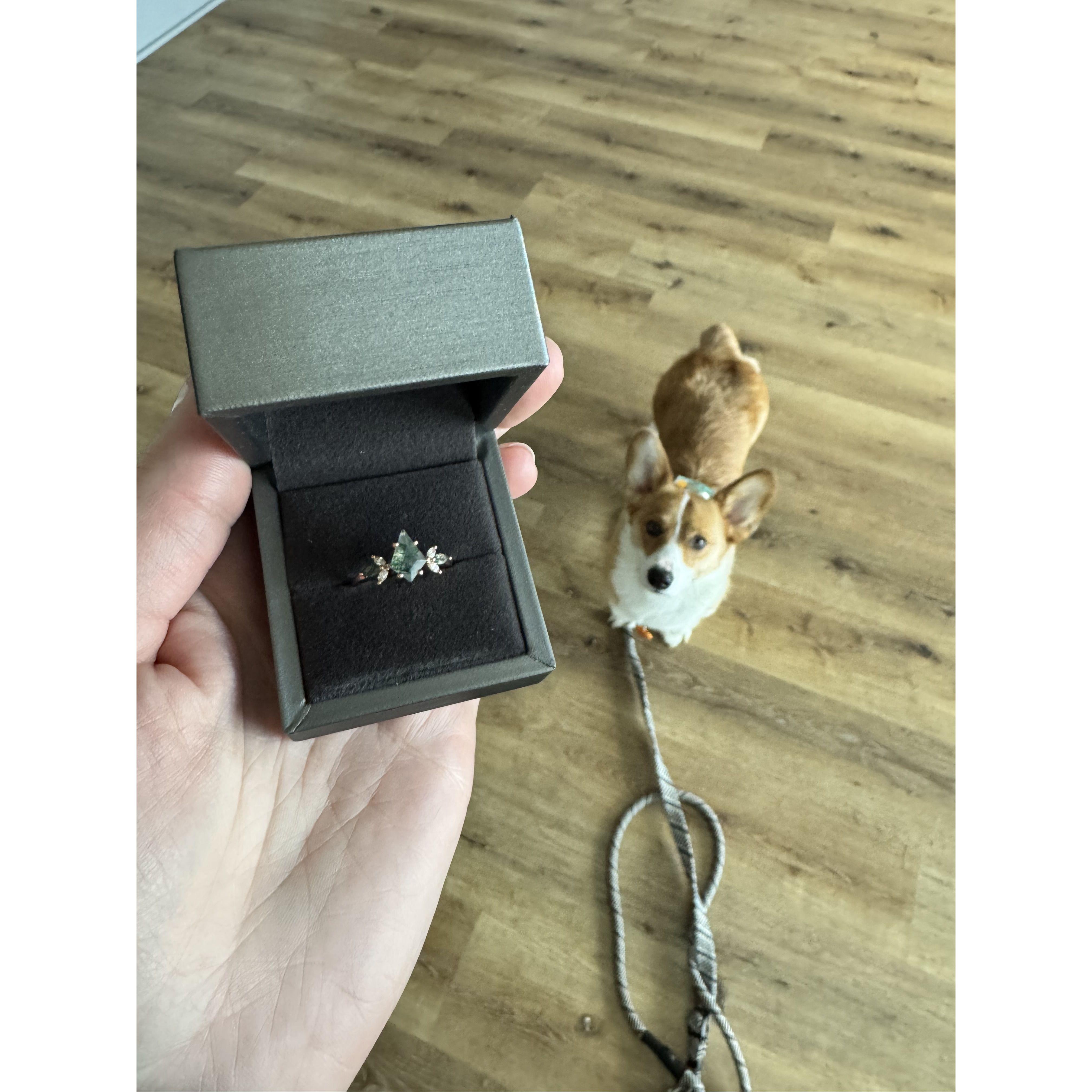 Sage gave me a piggy back ride into the house. I went to shut the front door and turned around to him on one knee. I cried and said yes, of course!