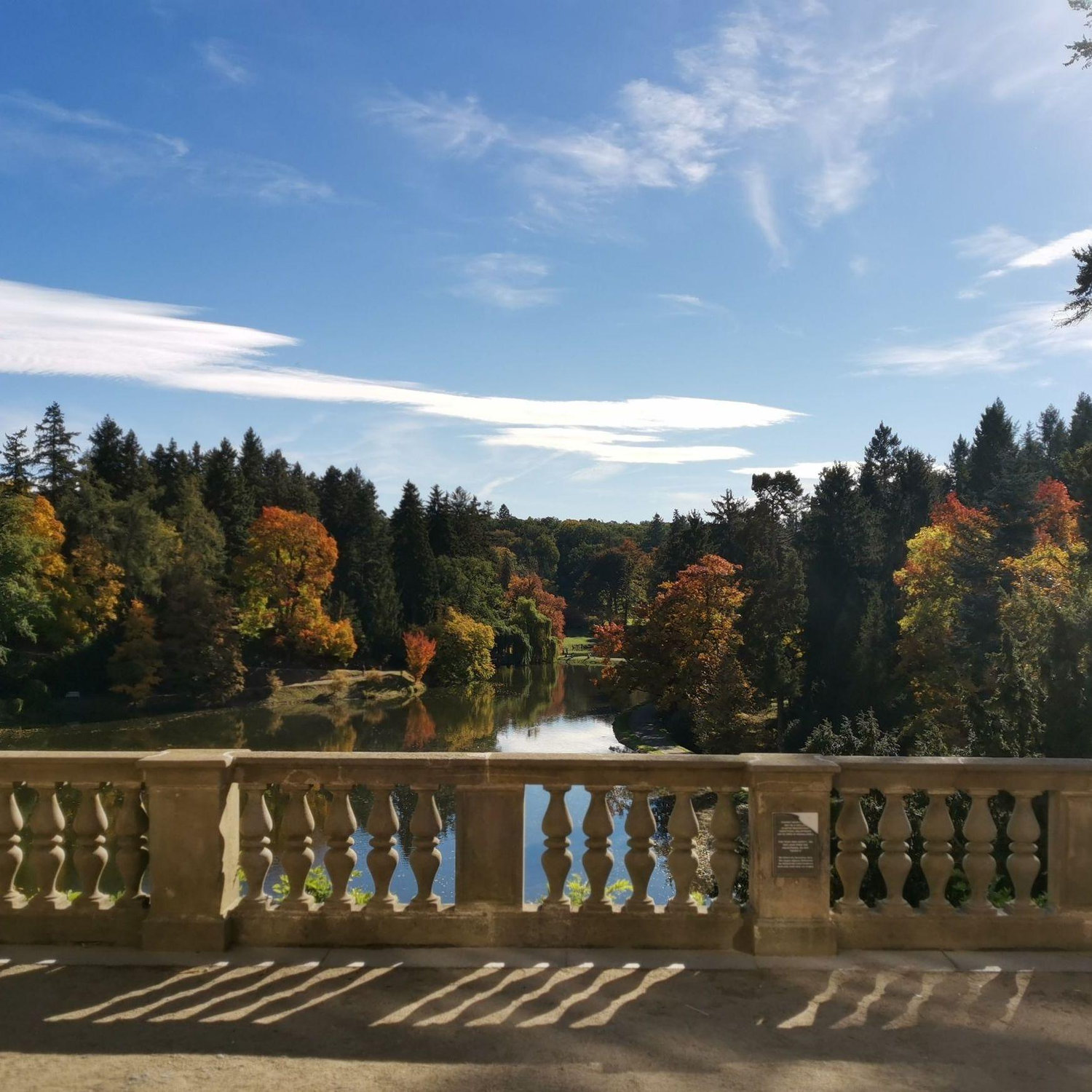 Wedding ceremony view!
