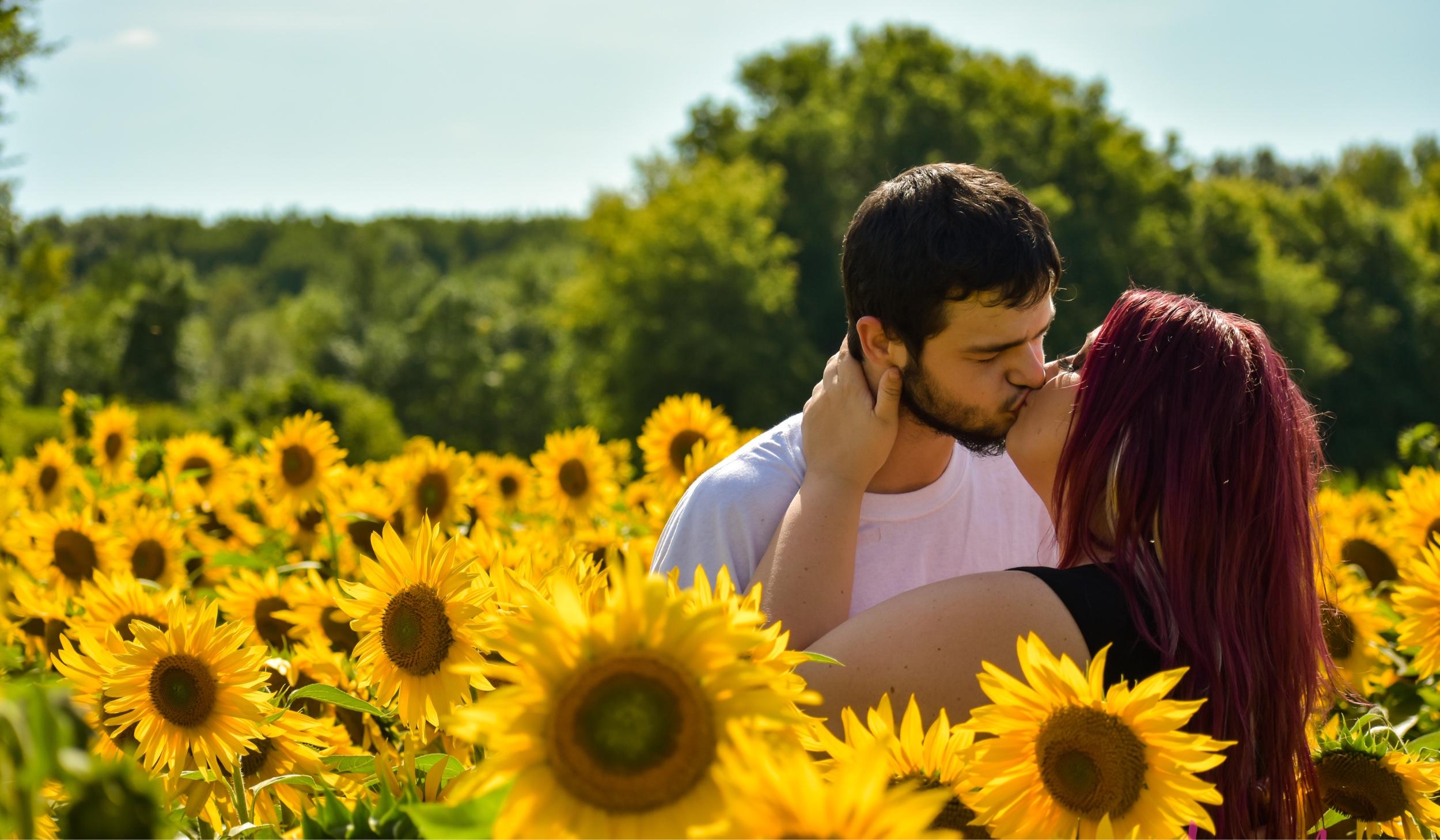 The Wedding Website of Harlee Schuldt and Brandon McCarty