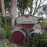 Rodrigue Molyneaux Winery