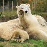 Edinburgh Zoo
