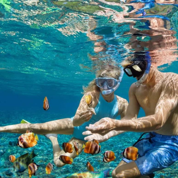 Snorkeling in Oahu