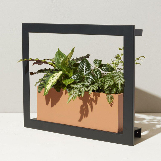 Growframe - Matte Black