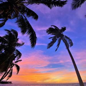 Sunset Cruise in Fiji