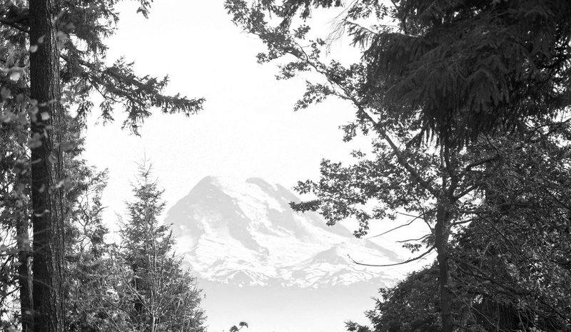 Hero Slideshow Image 4