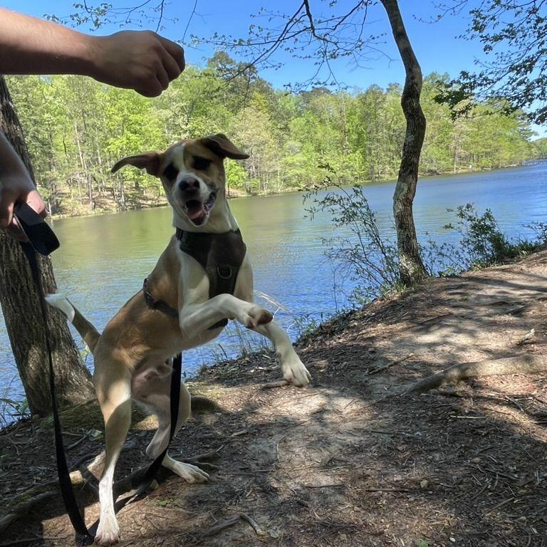 Luke on a hike