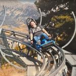 Forest Flyer Alpine Coaster