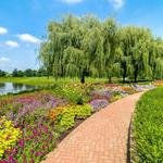 Chicago Botanic Garden