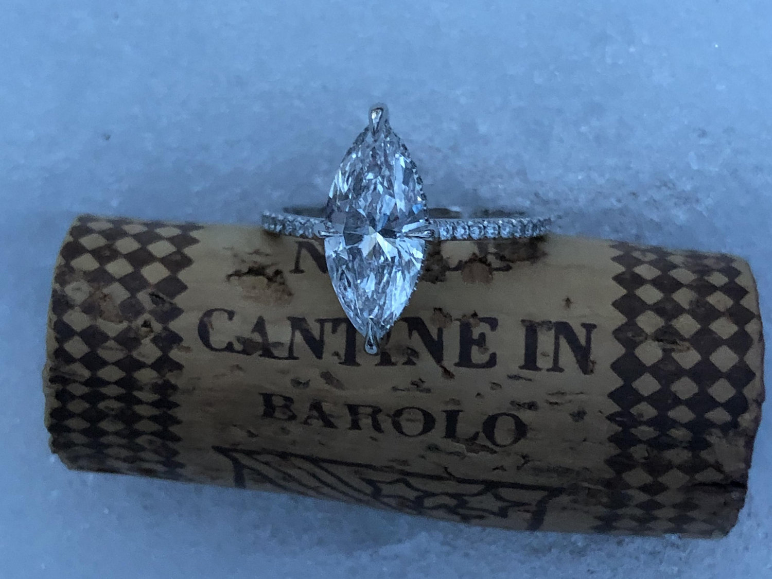 The Wedding Website of William Cobb and Alexandra Mueller