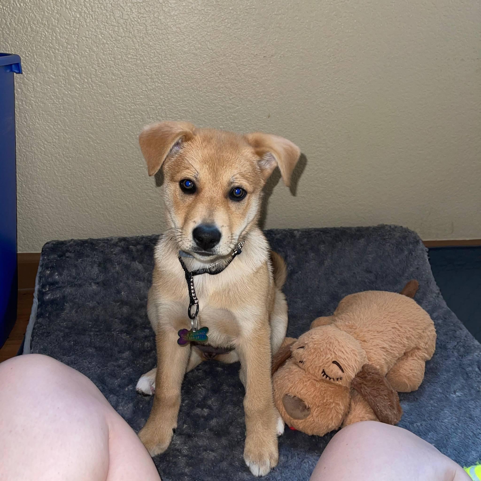 January 2021 Bianka and Ruben welcome Ellie into their family!