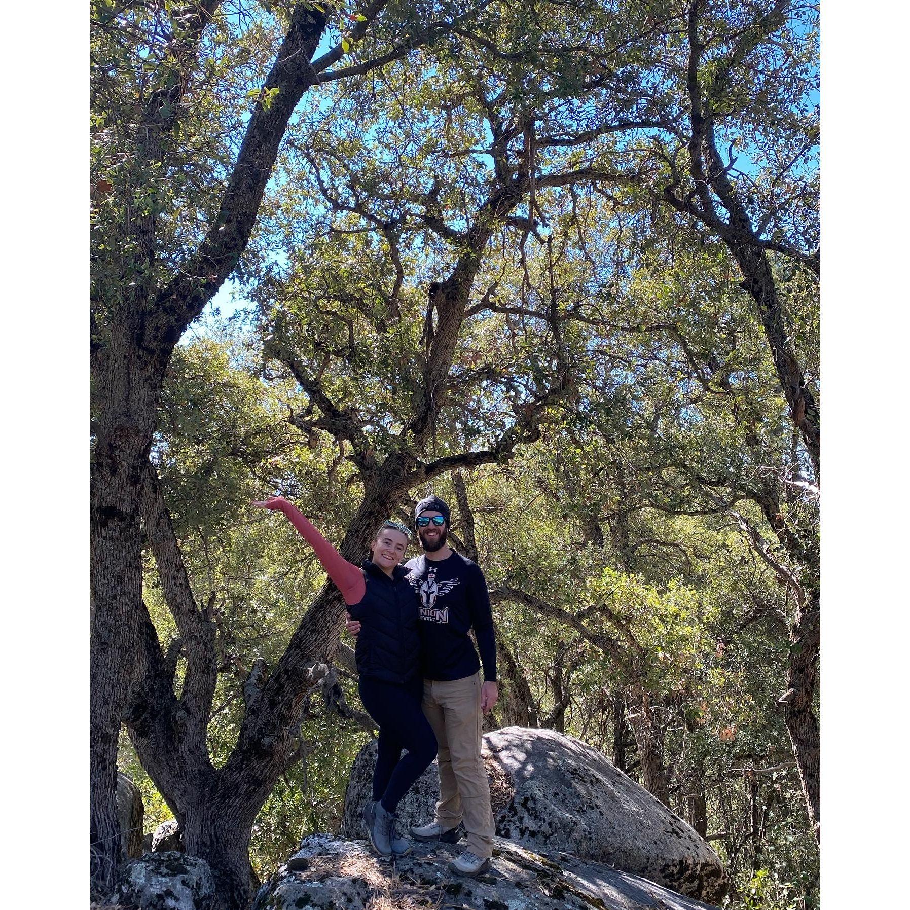 Hiking in the San Bernadino National Forest