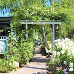 The Tea House On Los Rios