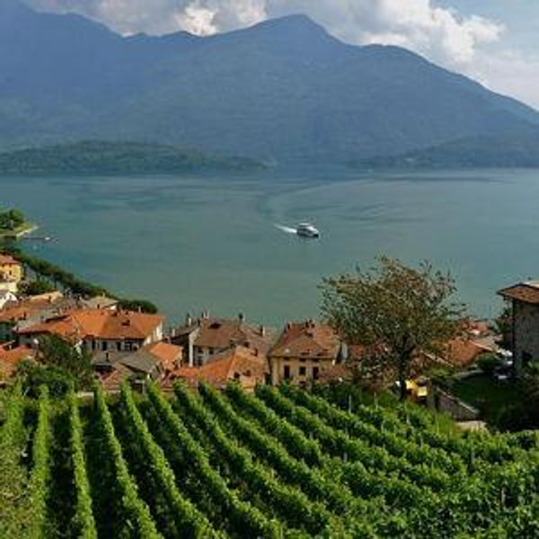 Honeymoon - Wine tasting