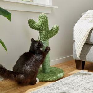 Cactus Cat Scratching Post, 22-in - Chewy.com