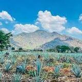 Complejo Paraíso Azul