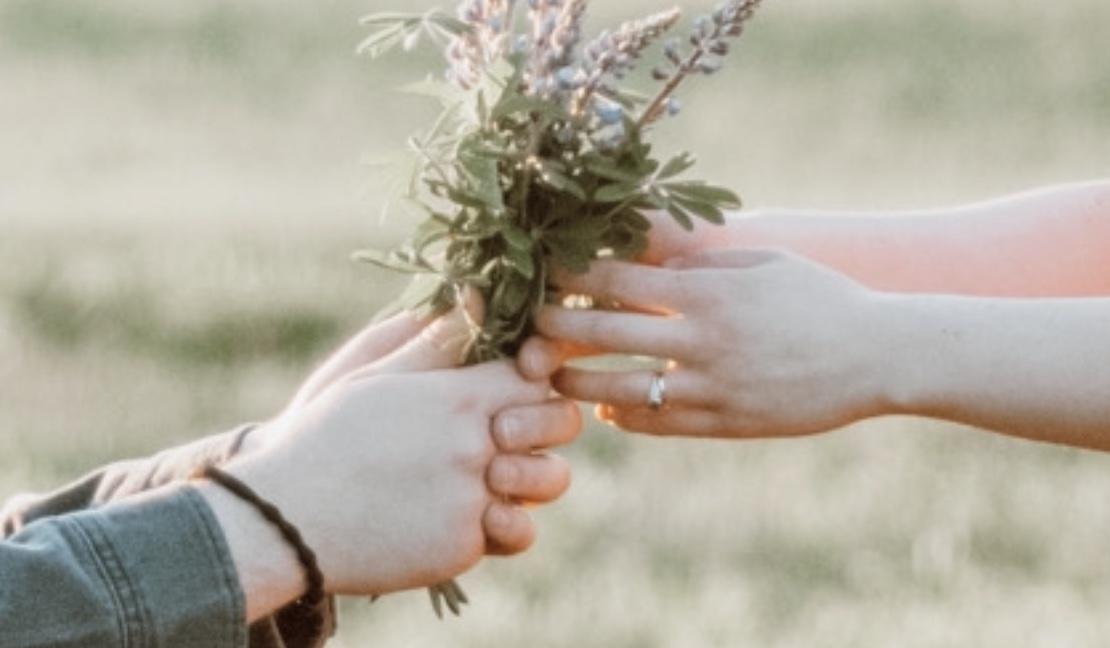 The Wedding Website of Bailey Smude and Elisabeth Buffetta
