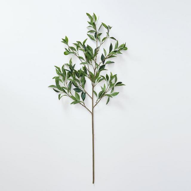 Bay Leaf Branch, Large, Green