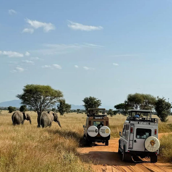 Our Honeymoon to Africa