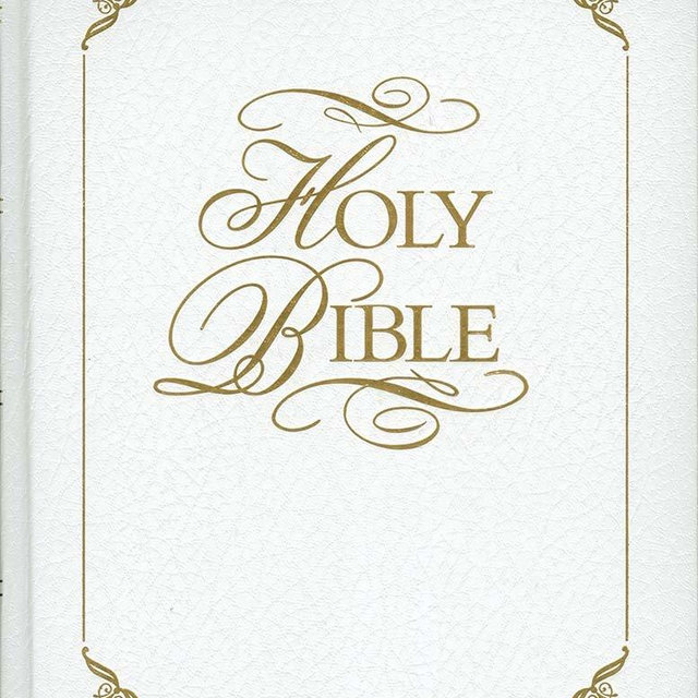 Family Faith and Values Bible