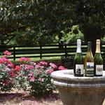 Belle Meade Historic Site & Winery
