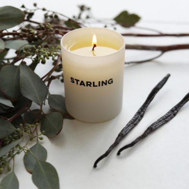 Vanilla + Hemlock Candles Starling Candle