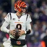 The Cincinnati Bengals