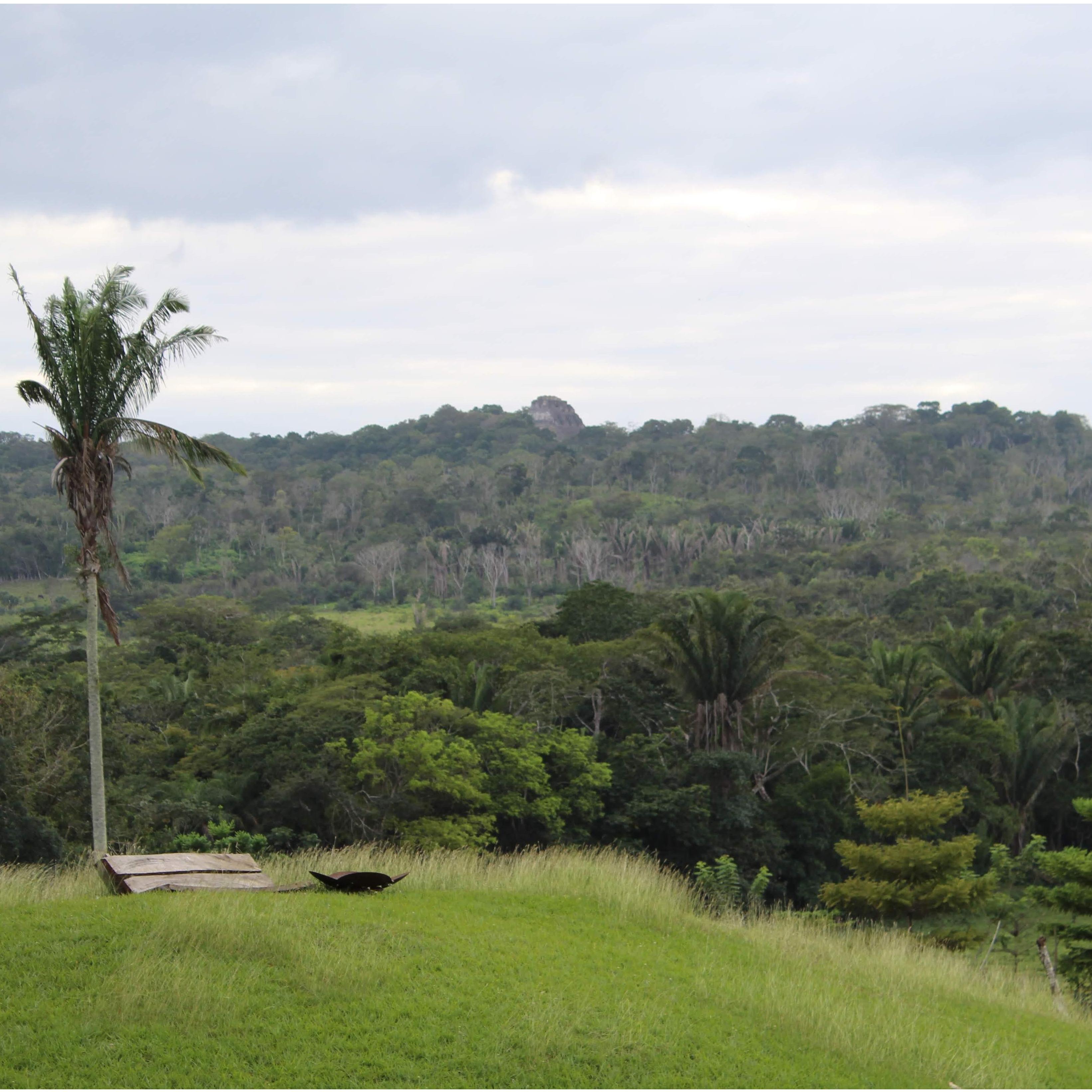 View of Xunantunich from Dominic's farm