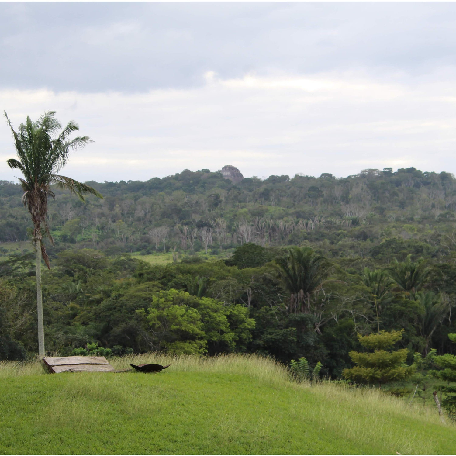 View of Xunantunich from Dominic's farm