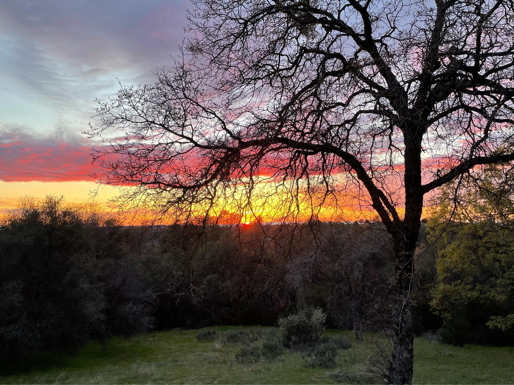 The Wedding Website of Justin Megna and Aryelle Smith