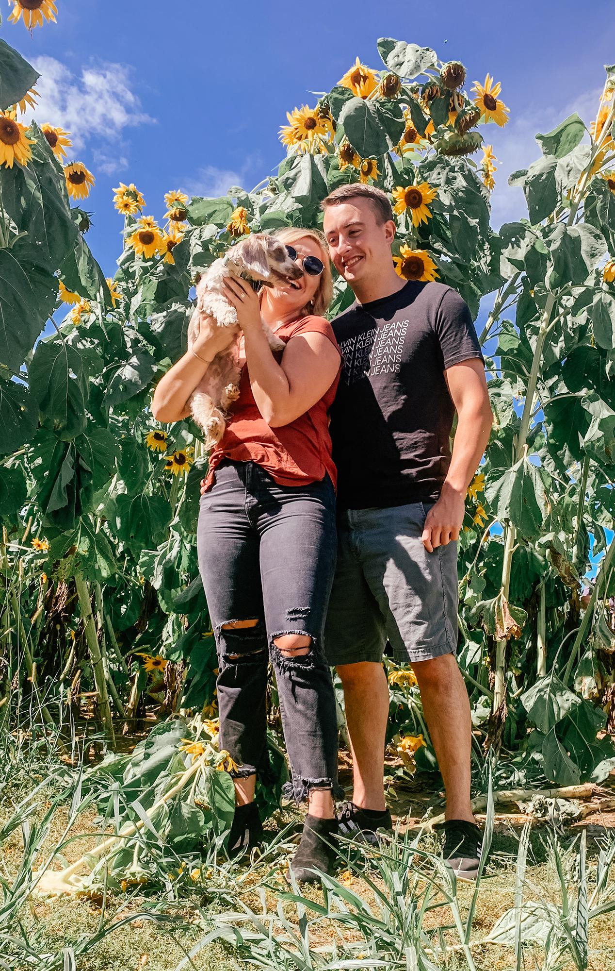 Sunflower Field date with Pickles!