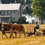 The Amish Experience at Plain & Fancy Farm