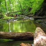 Hoosier National Forest