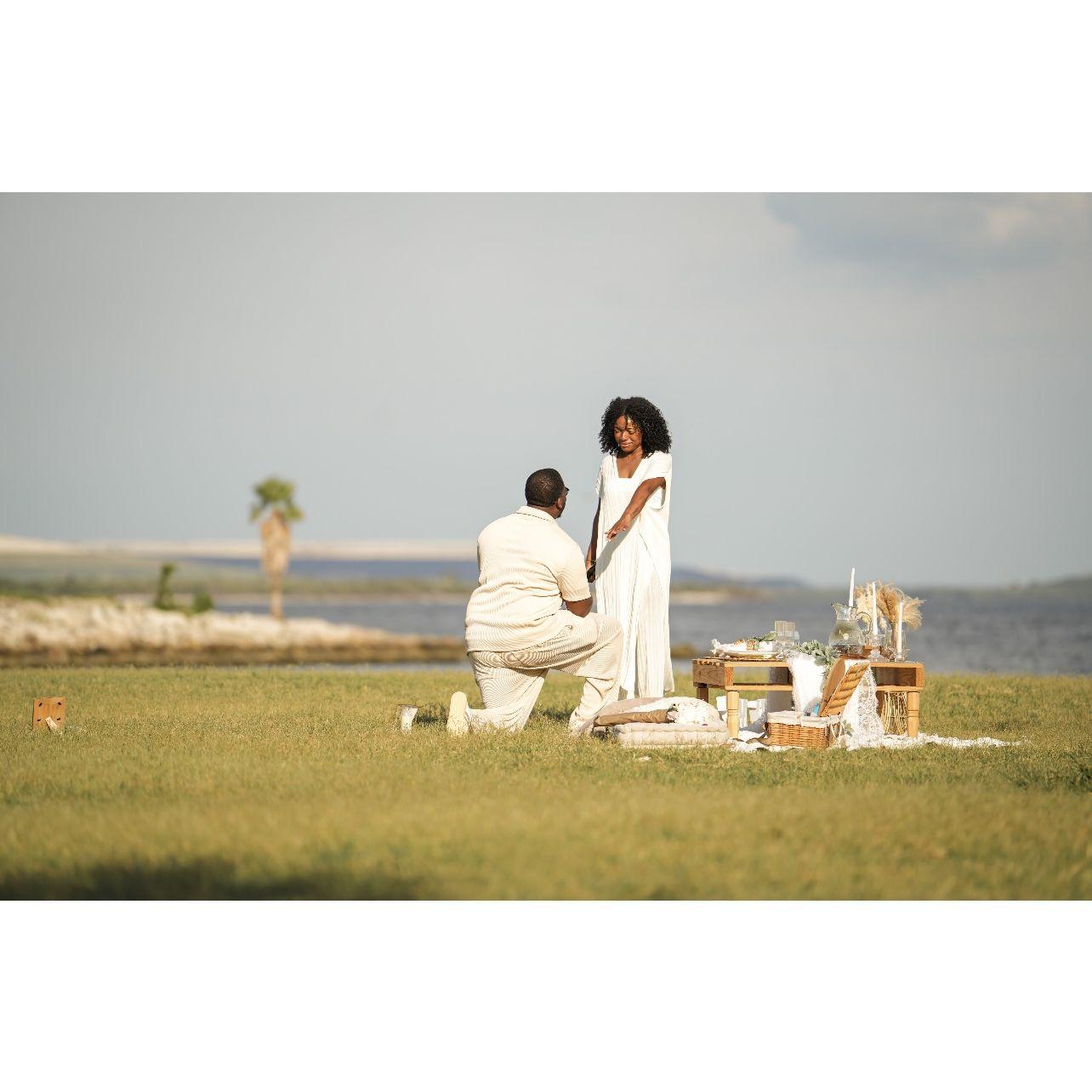 The proposal!