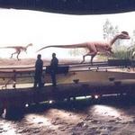 Dinosaur State Park