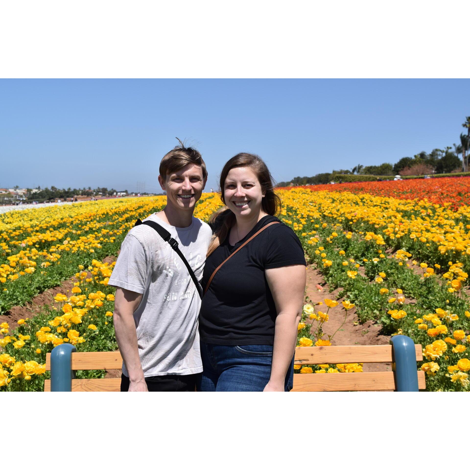 Day trip to the Carlsbad Flower Fields