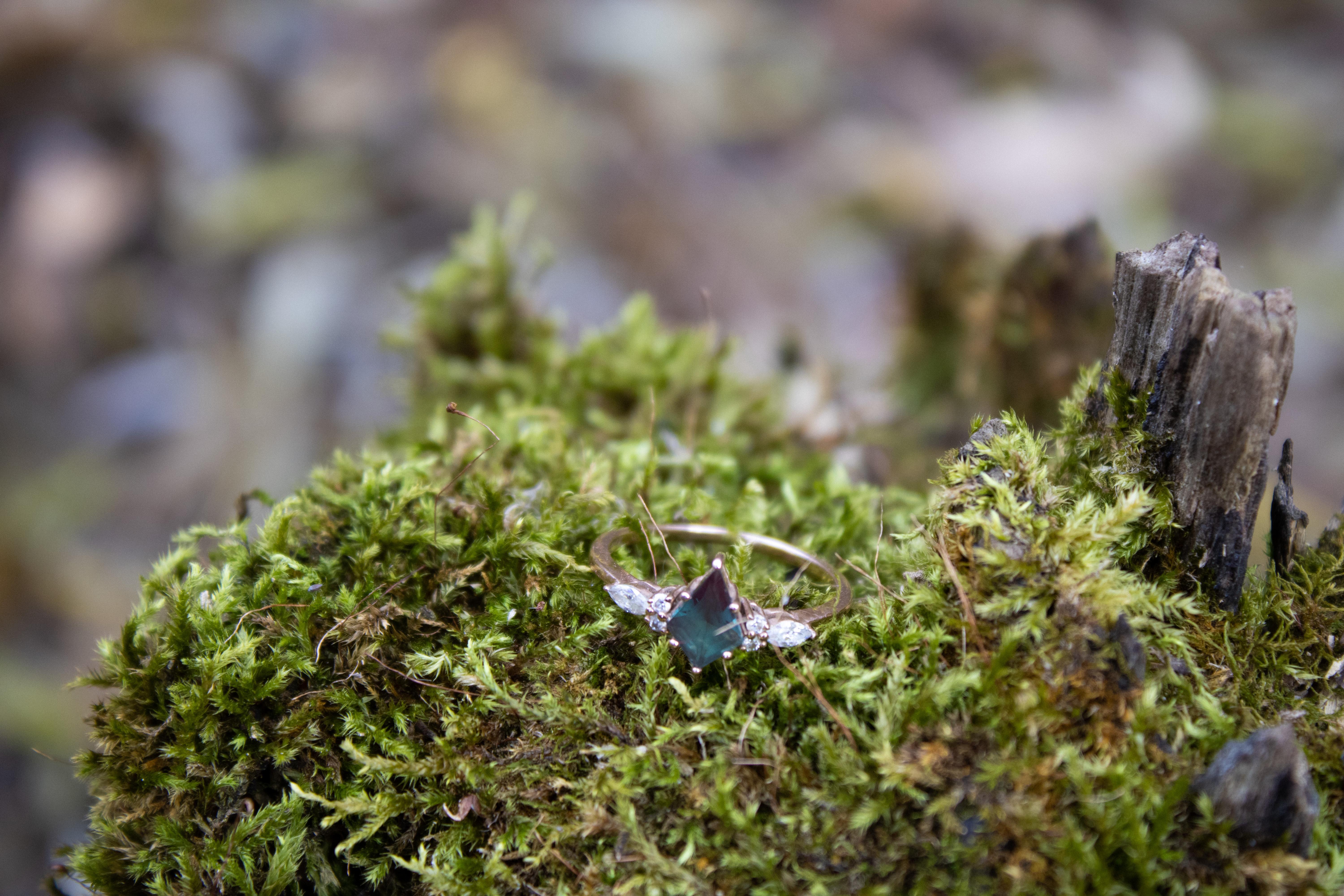 2e87680d-6c7b-4b44-8703-9ab0bff56893