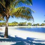 Matheson Hammock Park