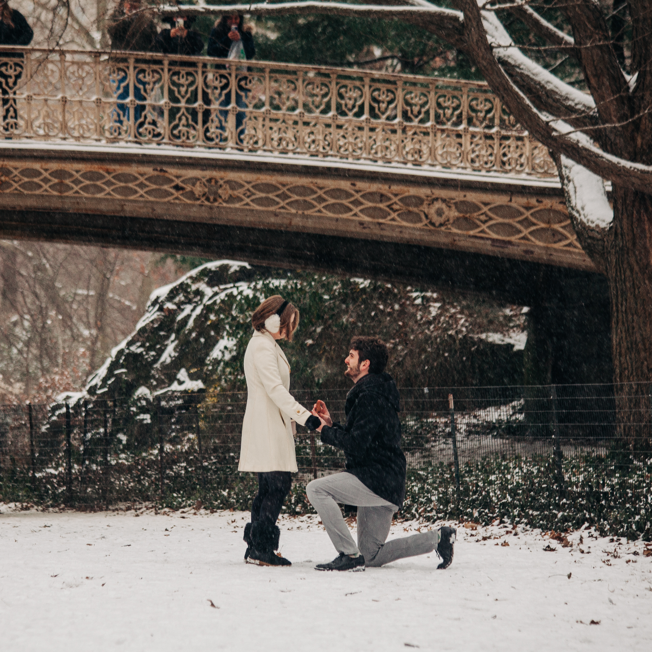 Engagement photos