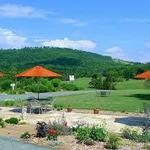 Jefferson Vineyards
