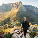 Lion's Head