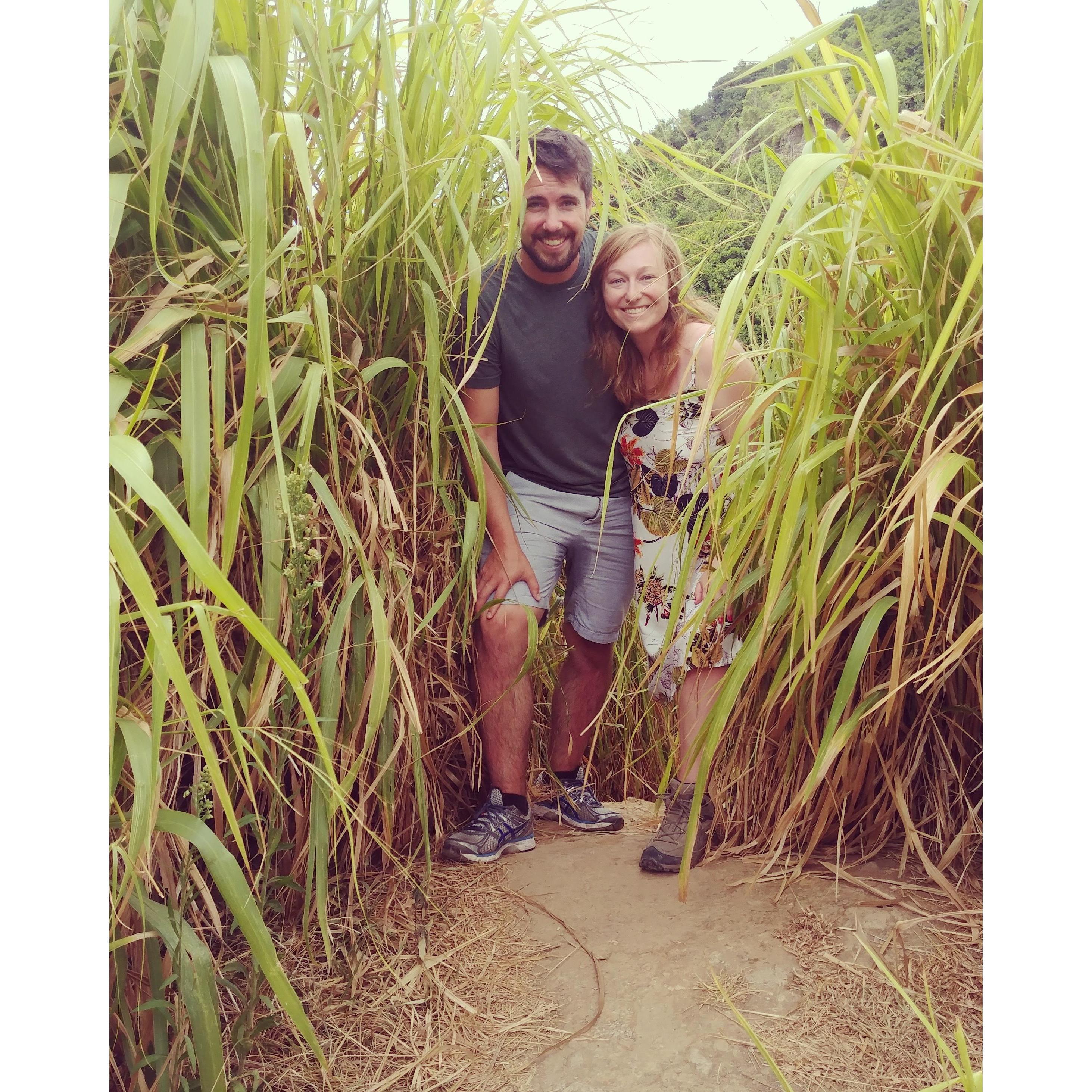 Maui Hike